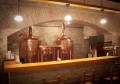 V ČR je přes čtyři sta minipivovarů. Jaký druh piva se vyrábí nejčastěji?